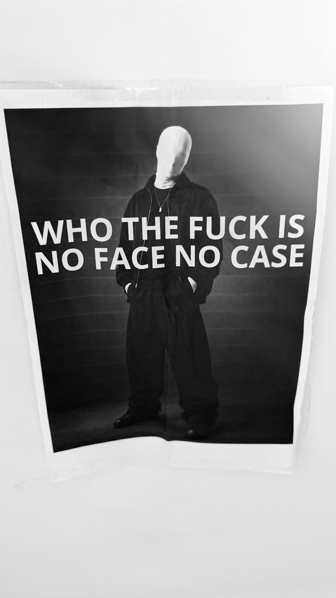 WHO THE FUCK IS NO FACE NO CASE poster